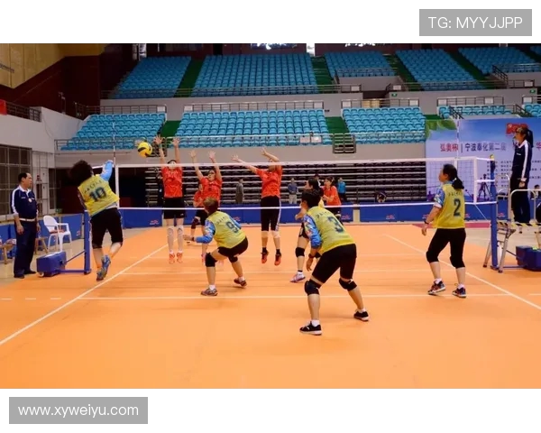 广州乒乓球队在精英赛中展现出的耐力与拼搏精神的深度分析