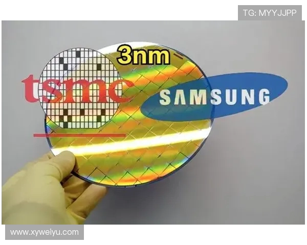 青年赛特别报道:WE战队的成长与突破之路全景回顾